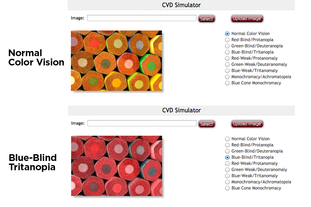 Screenshot of a colour blindness check using Coblis to show what a full colour image looks like for normal colour vision and for blue-blind tritanopia.